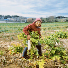 画像をギャラリービューアに読み込む, 三浦大根と私の台所 吉田和子