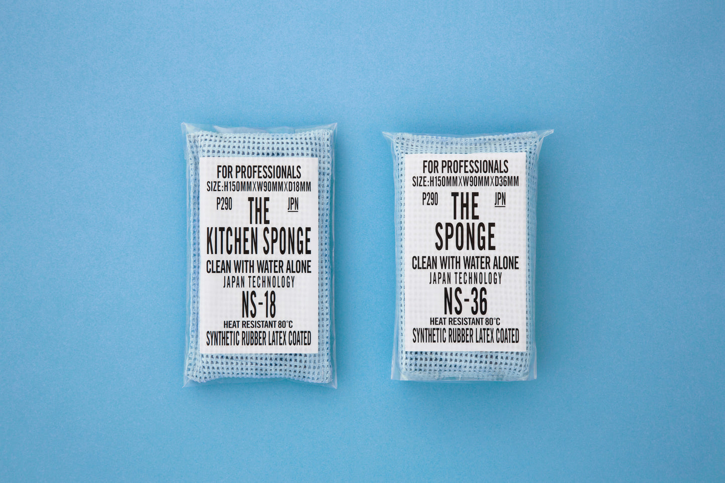 THE SPONGE Series
