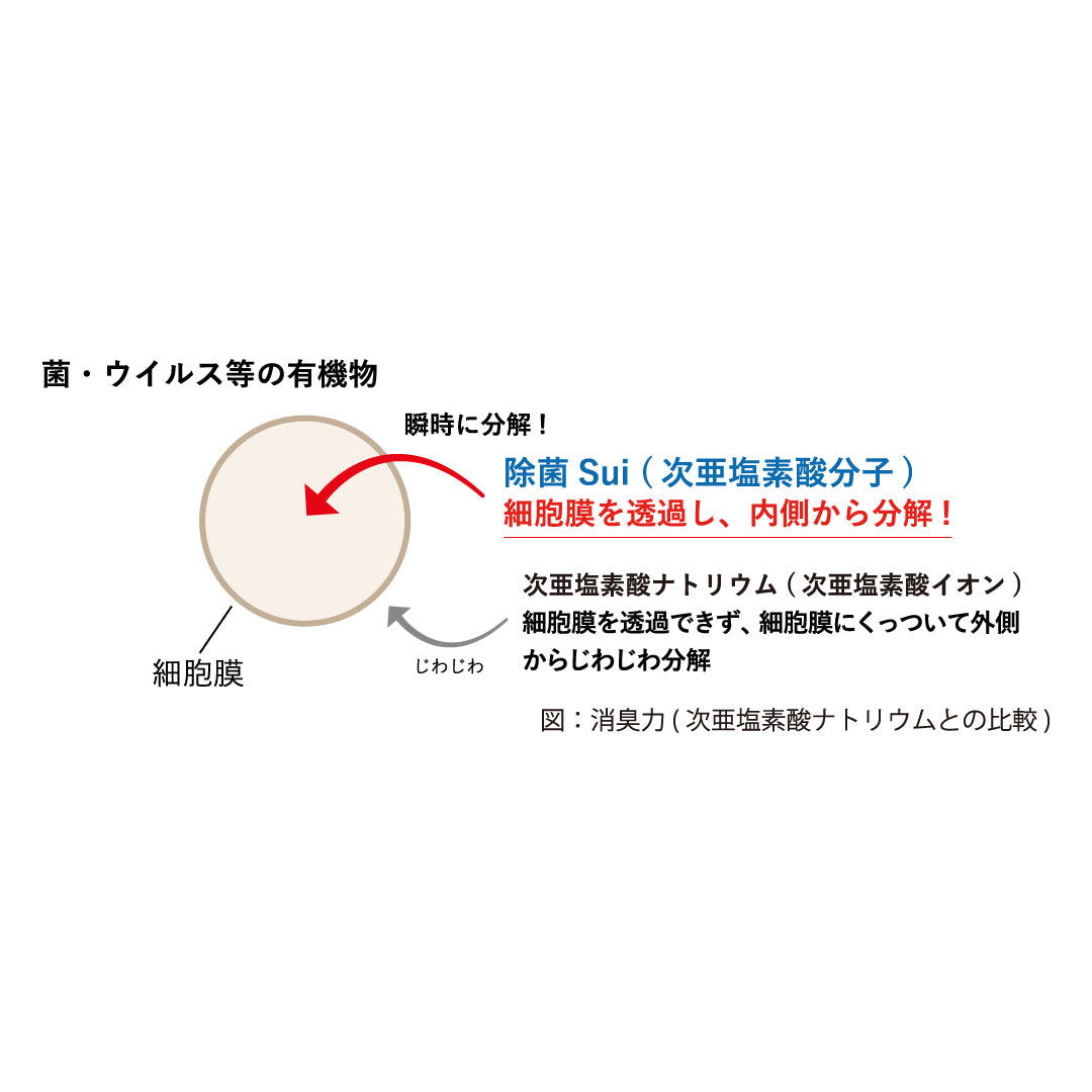 Sui (詰替500ml)